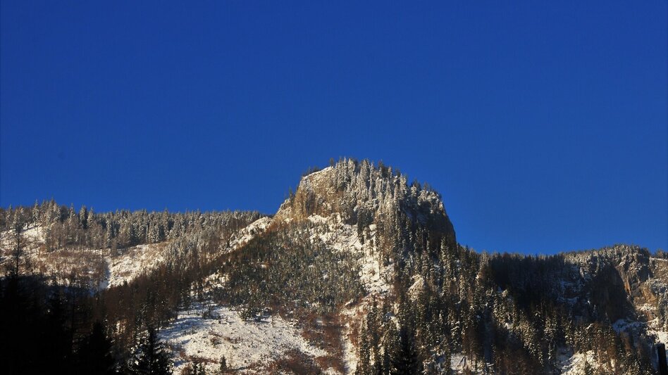 Snowshoe walking Schneeschuhwanderparadies Hinteralm - Touren-Impression #2.2 | © TV Hochsteiermark