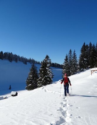 Schneeschuhwanderung vom Niederalpl auf den Herrenboden | WEGES | © Naturpark Mürzer Oberland