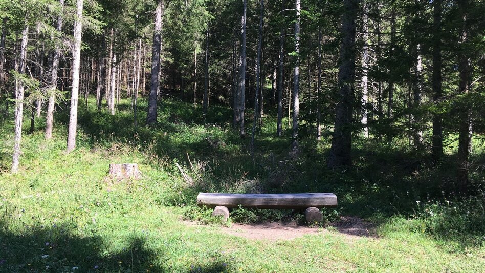 Mountain Biking Bürgeralpe - Round - Touren-Impression #2.3 | © TV Hochsteiermark