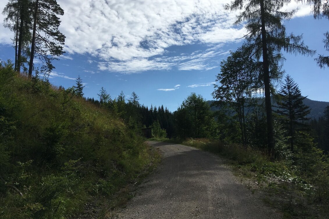 Mountain Biking Bürgeralpe - Round - Touren-Impression #1 | © TV Hochsteiermark