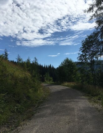 Zwischen Rechengraben und Habertheuersattel | Raffaela Pitzl | © TV Hochsteiermark