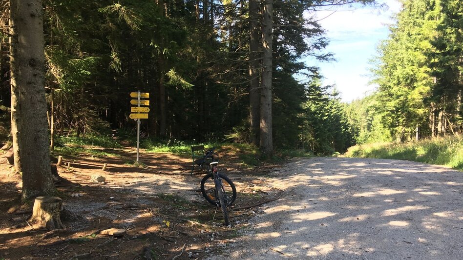 Mountain Biking Bürgeralpe - Round - Touren-Impression #2.2 | © TV Hochsteiermark