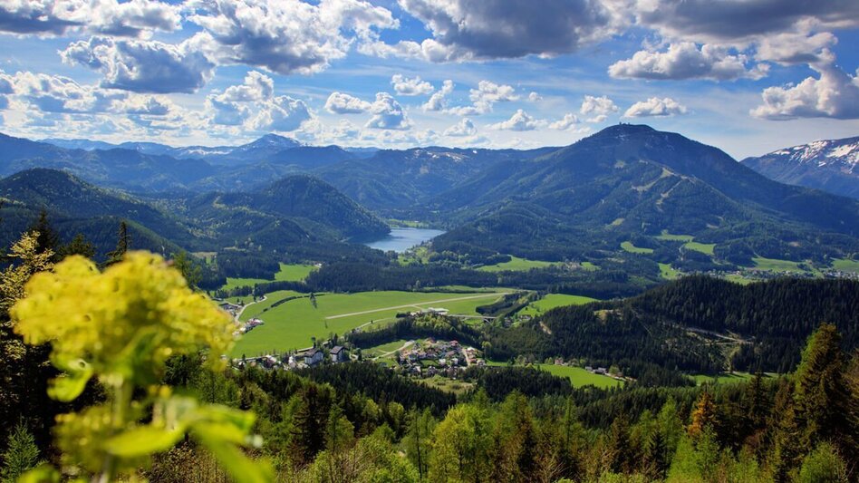 Mountain Biking Bürgeralpe - Round - Touren-Impression #2.7 | © TV Hochsteiermark