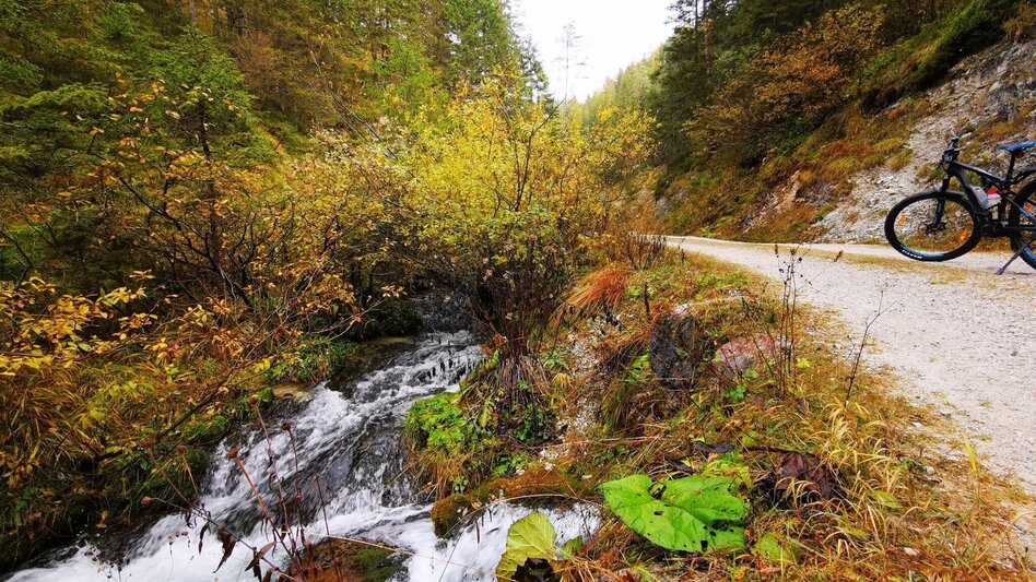 Mountain Biking Lake Hubertussee - Round - Touren-Impression #2.3 | © TV Hochsteiermark