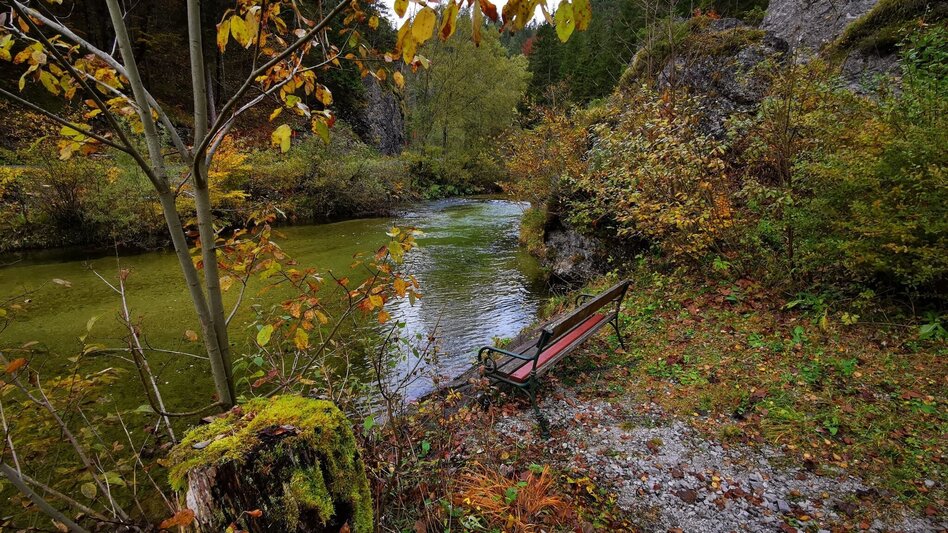 Mountain Biking Lake Hubertussee - Round - Touren-Impression #2.5 | © TV Hochsteiermark