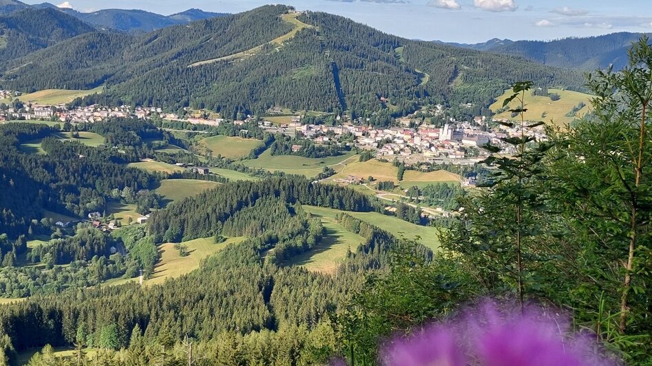 Mountain Biking Tribein - Round - Touren-Impression #2.7 | © TV Hochsteiermark