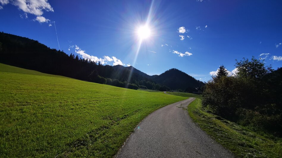 Mountain Biking Tribein - Round - Touren-Impression #2.1 | © TV Hochsteiermark