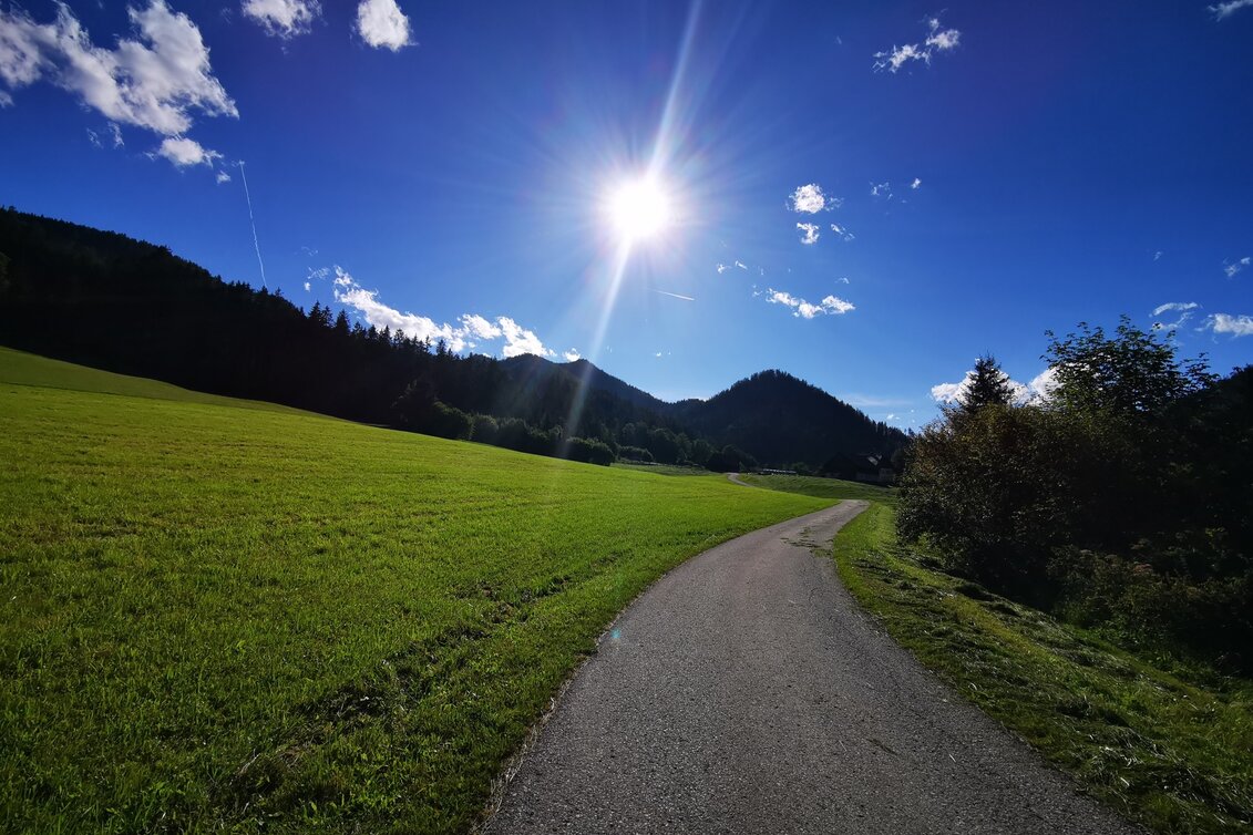 Mountain Biking Tribein - Round - Touren-Impression #1 | © TV Hochsteiermark