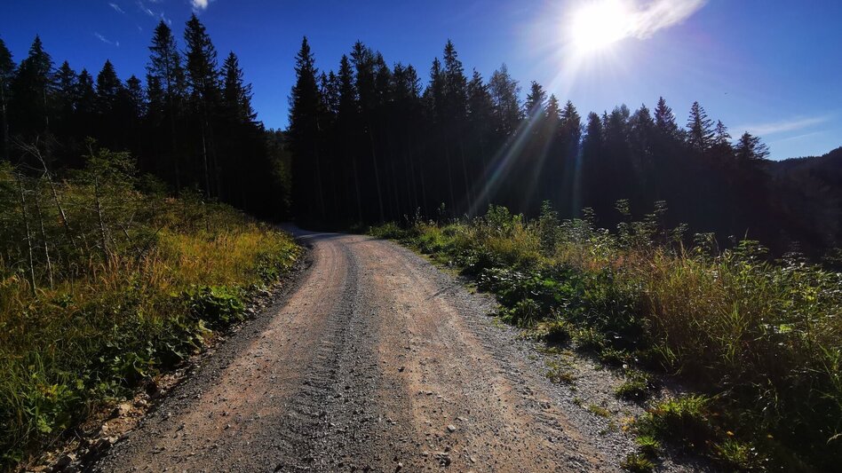 Mountain Biking Tribein - Round - Touren-Impression #2.2 | © TV Hochsteiermark