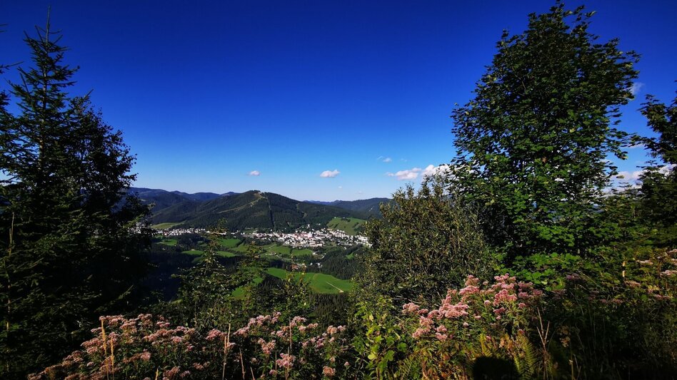 Mountain Biking Tribein - Round - Touren-Impression #2.3 | © TV Hochsteiermark