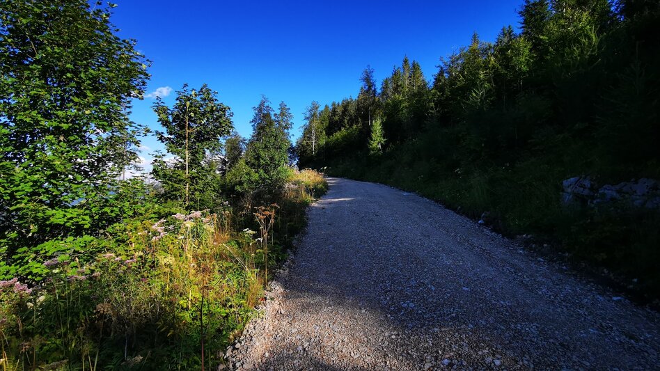 Mountain Biking Tribein - Round - Touren-Impression #2.4 | © TV Hochsteiermark