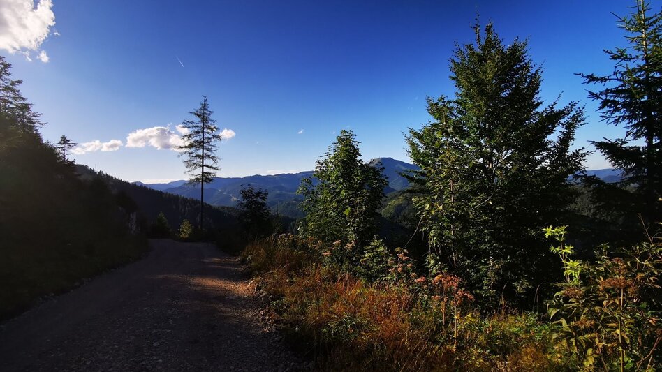 Mountain Biking Tribein - Round - Touren-Impression #2.5 | © TV Hochsteiermark