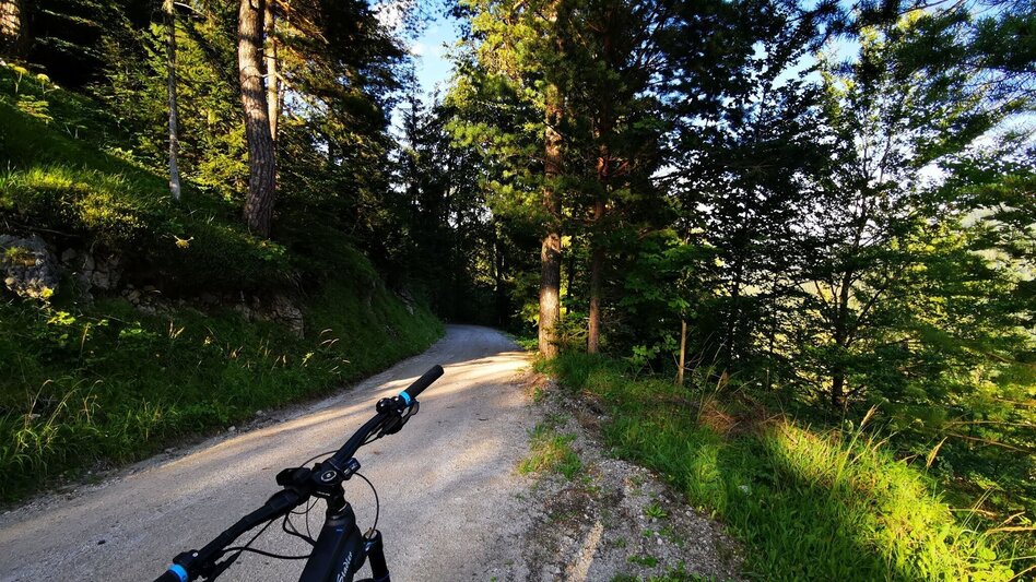 Mountain Biking Tribein - Round - Touren-Impression #2.6 | © TV Hochsteiermark