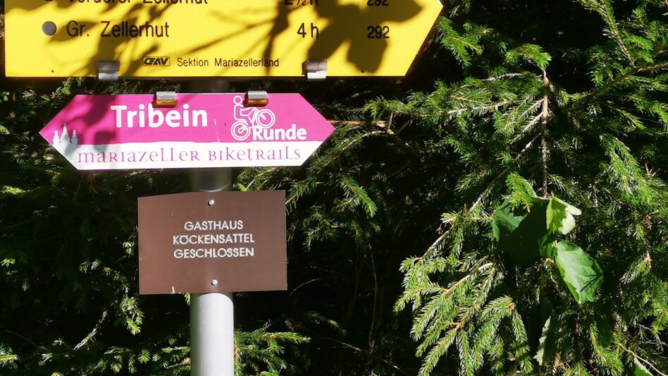 Mountain Biking Tribein - Round - Touren-Impression #2.8 | © TV Hochsteiermark