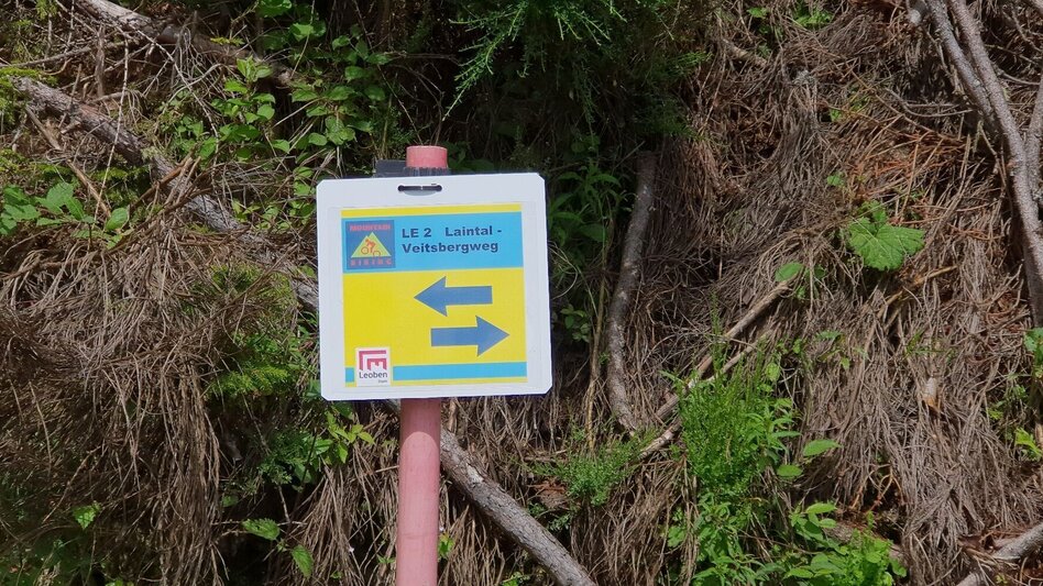 Mountainbike LE02 MTB  Laintal Runde - Touren-Impression #2.1 | © Tourismusverband ERZBERG LEOBEN