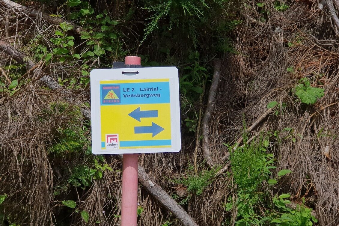 Mountainbike LE02 MTB  Laintal Runde - Touren-Impression #1 | © Tourismusverband ERZBERG LEOBEN