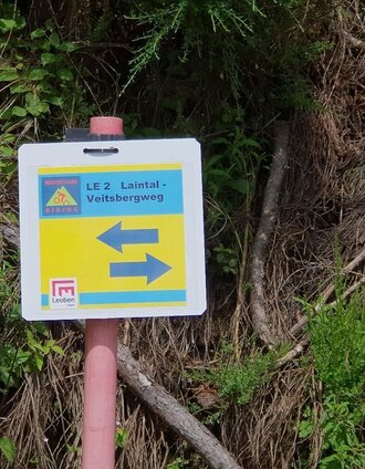 mtb leoben laintal runde le 2_img_33120711 | TV Leoben | © Tourismusverband ERZBERG LEOBEN