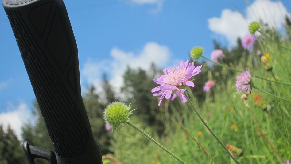 Mountainbike LE02 MTB  Laintal Runde - Touren-Impression #2.3 | © Tourismusverband ERZBERG LEOBEN