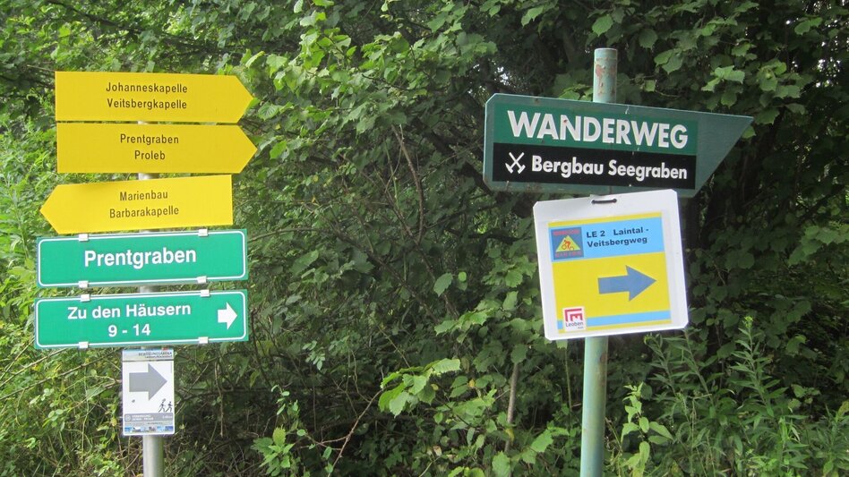 Mountainbike LE02 MTB  Laintal Runde - Touren-Impression #2.4 | © Tourismusverband ERZBERG LEOBEN