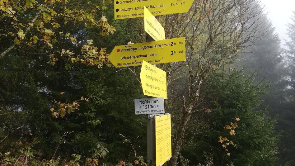 Hiking route Hike from Ameisbühel to Schneealm in the Mürzer Oberland Nature Park - Touren-Impression #2.1 | © Naturpark Mürzer Oberland