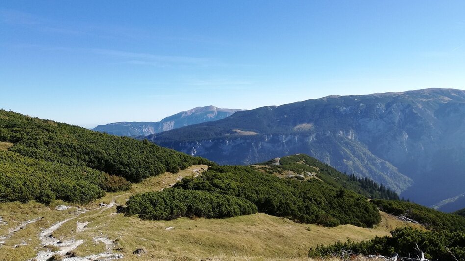 Hiking route Hike from Ameisbühel to Schneealm in the Mürzer Oberland Nature Park - Touren-Impression #2.4 | © Naturpark Mürzer Oberland