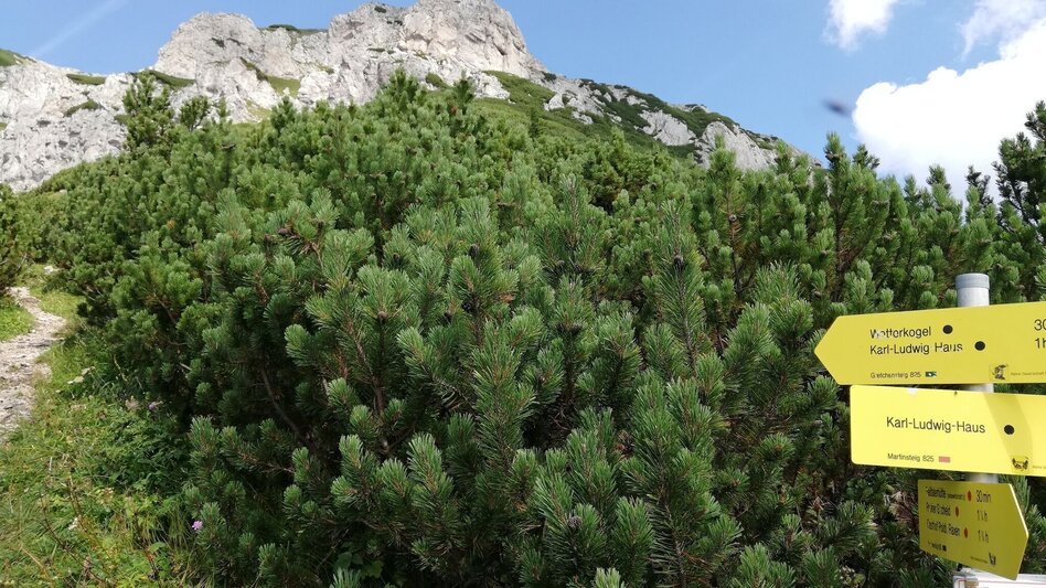 Via Ferrata Gretchensteig - Runde auf der Rax im Naturpark Mürzer Oberland - Touren-Impression #2.1 | © Naturpark Mürzer Oberland