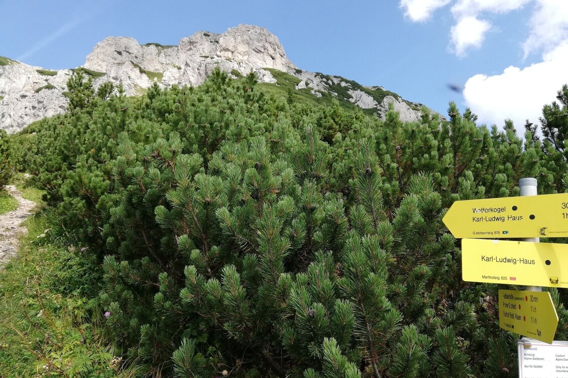 Via Ferrata Gretchensteig - Runde auf der Rax im Naturpark Mürzer Oberland - Touren-Impression #1 | © Naturpark Mürzer Oberland