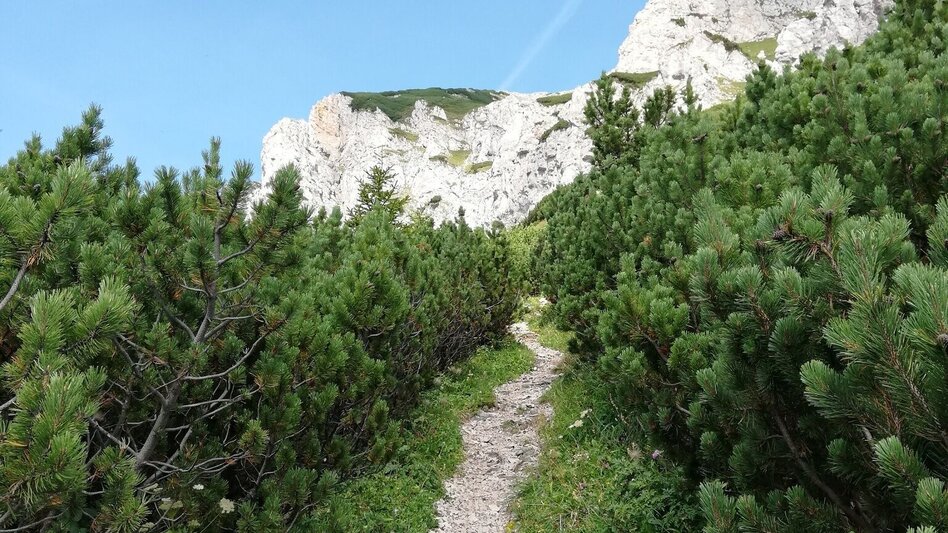 Via Ferrata Gretchensteig - Runde auf der Rax im Naturpark Mürzer Oberland - Touren-Impression #2.2 | © Naturpark Mürzer Oberland