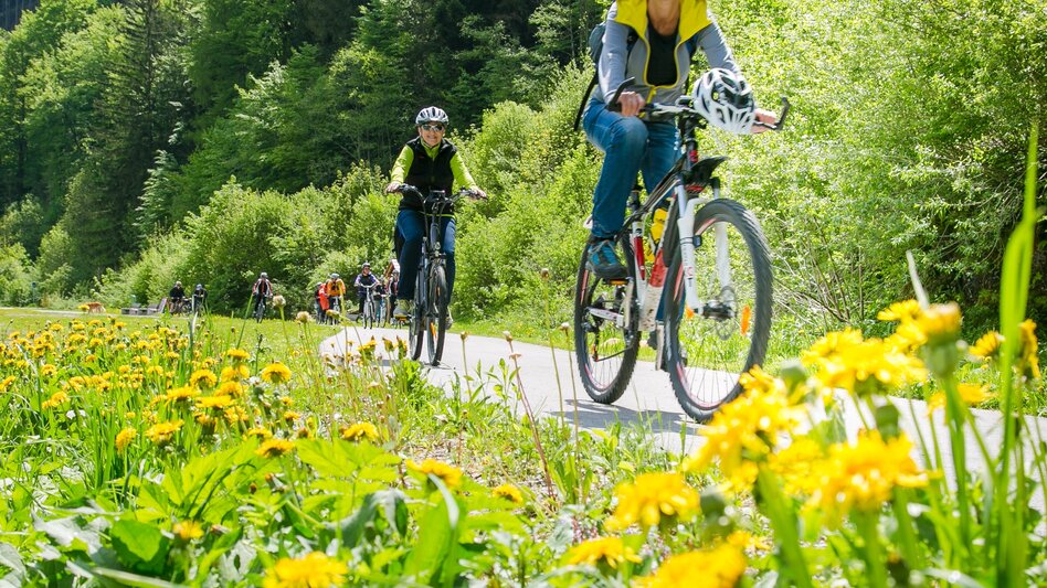 Radfahren Bahntrassenradeln am Mürztalradweg im Naturpark Mürzer Oberland - Touren-Impression #2.1 | © Naturpark Mürzer Oberland
