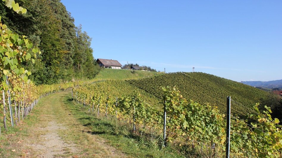 Wanderung Der wanderbare Kreuzberg  - Touren-Impression #2.3 | © TV Südsteiermark/Ulrike Elsneg