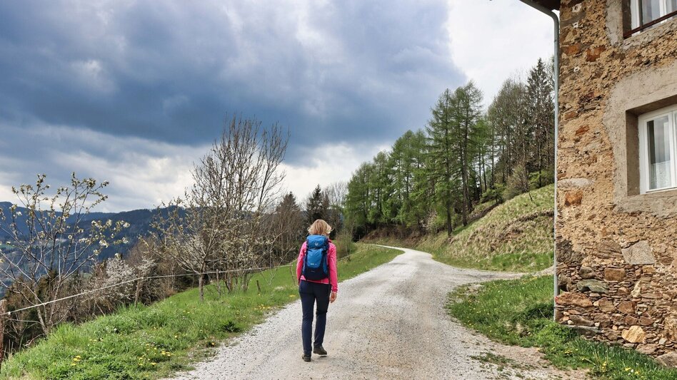 Hiking route Habring via Schalenstein - Touren-Impression #2.4 | © Weges OG