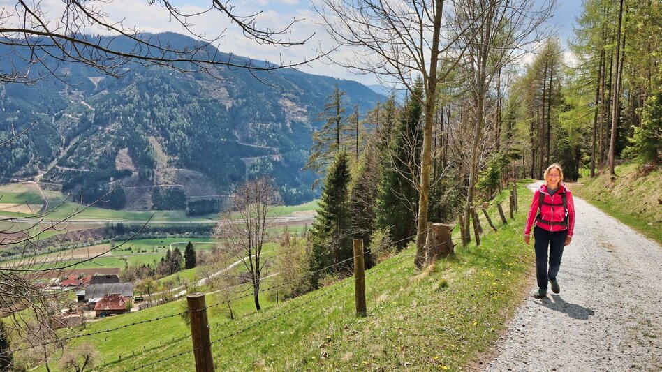 Hiking route Habring via Schalenstein - Touren-Impression #2.6 | © Weges OG