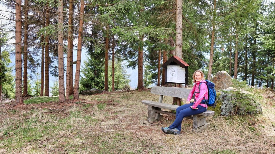 Hiking route Habring via Schalenstein - Touren-Impression #2.9 | © Weges OG