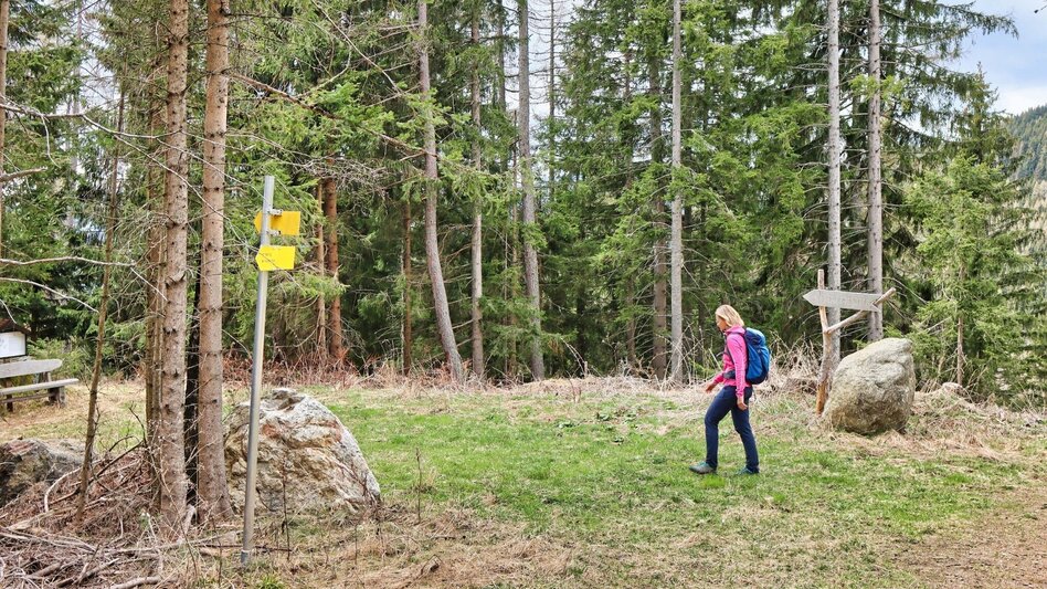 Hiking route Habring via Schalenstein - Touren-Impression #2.10 | © Weges OG