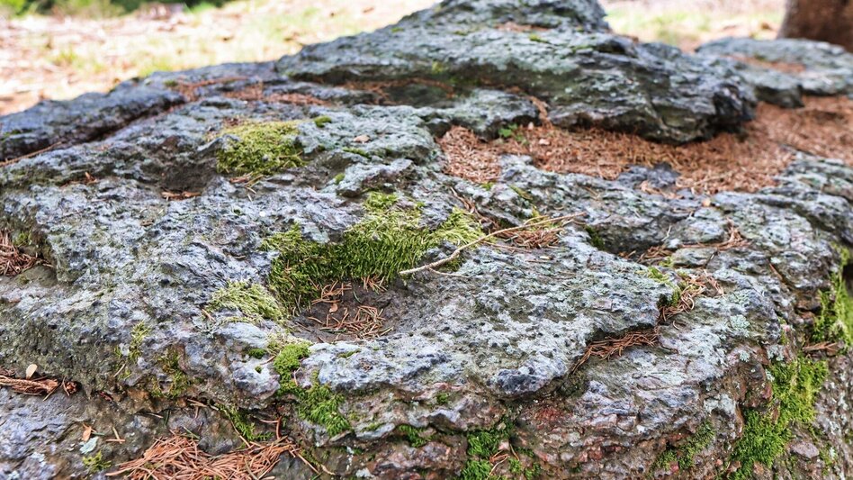 Hiking route Habring via Schalenstein - Touren-Impression #2.11 | © Weges OG