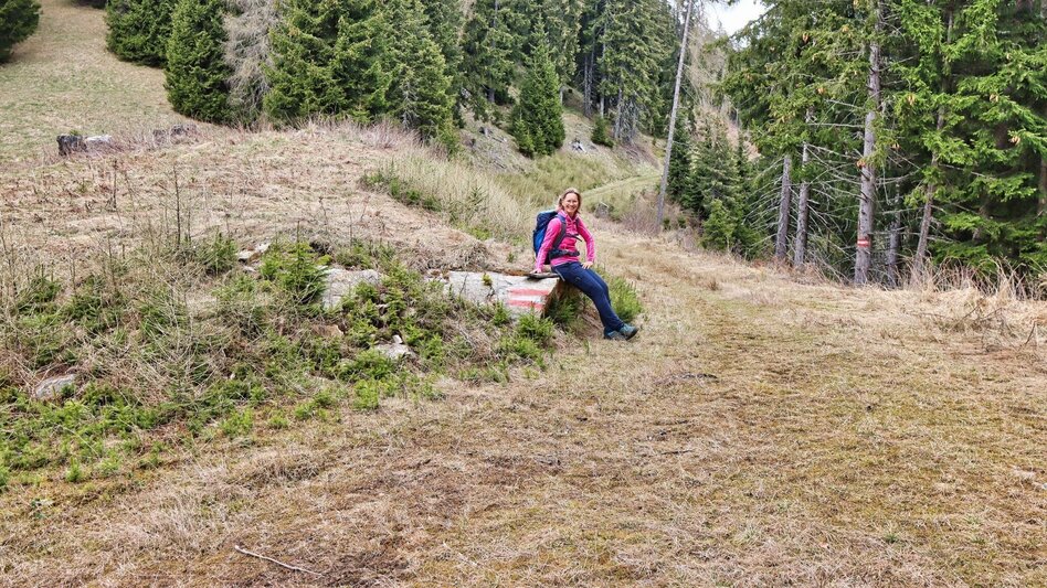 Hiking route Habring via Schalenstein - Touren-Impression #2.13 | © Weges OG