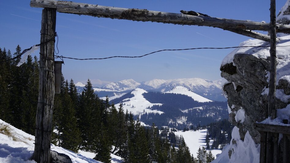 Snowshoe walking Mit Schneeschuhen auf die Lachalm und den Blahstein - Touren-Impression #2.2 | © TV Hochsteiermark