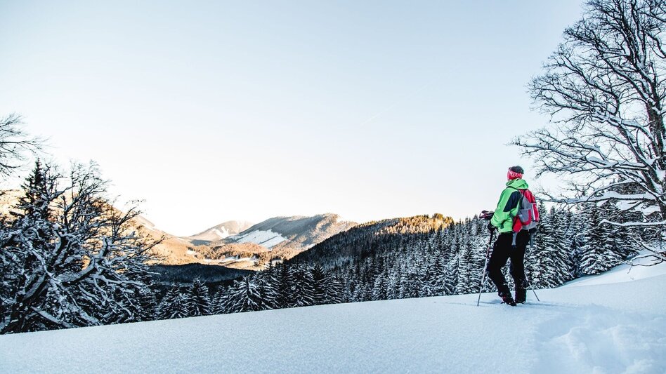 Schneeschuh Auf Schneeschuhen zum Nikolokreuz - Touren-Impression #2.1 | © TV Hochsteiermark