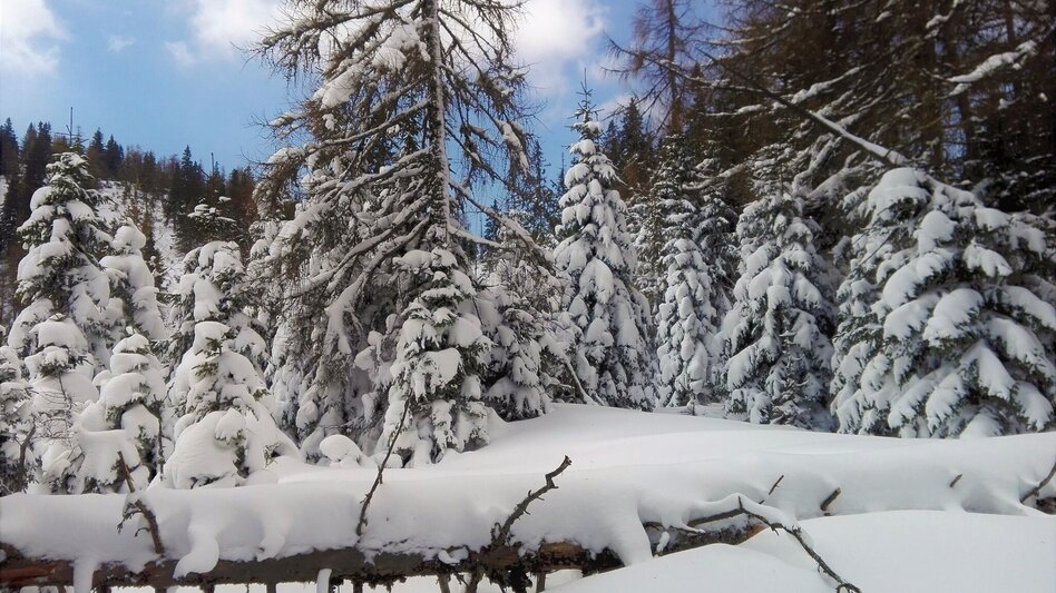 Schneeschuh Auf Schneeschuhen zum Waxriegelhaus - Touren-Impression #2.3 | © TV Hochsteiermark