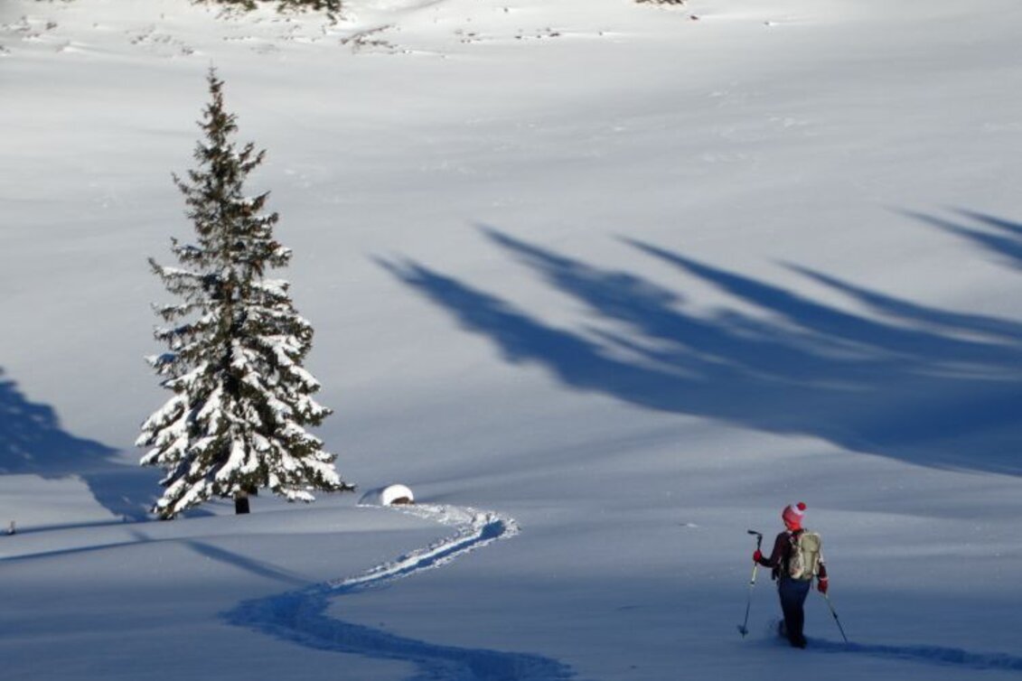 Snowshoe walking Schneeschuhtour Brachkogel - Ochsenboden - Touren-Impression #1 | © Naturpark Mürzer Oberland