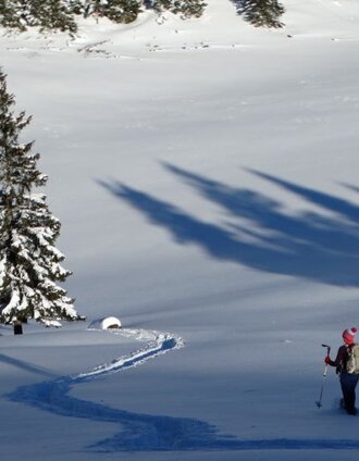 Schneeschuhwanderung vom Niederalpl auf den Herrenboden | WEGES | © Naturpark Mürzer Oberland