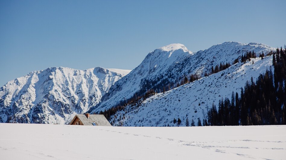 Snowshoe walking Schneeschuhtour Brachkogel - Ochsenboden - Touren-Impression #2.3 | © TV Hochsteiermark