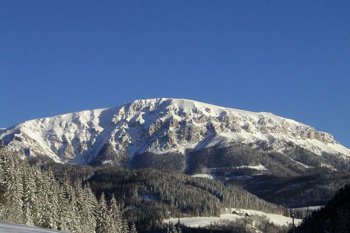 Schneeschuh Schneeschuhtour zum Grabnergupf - Touren-Impression #1 | © TV Hochsteiermark