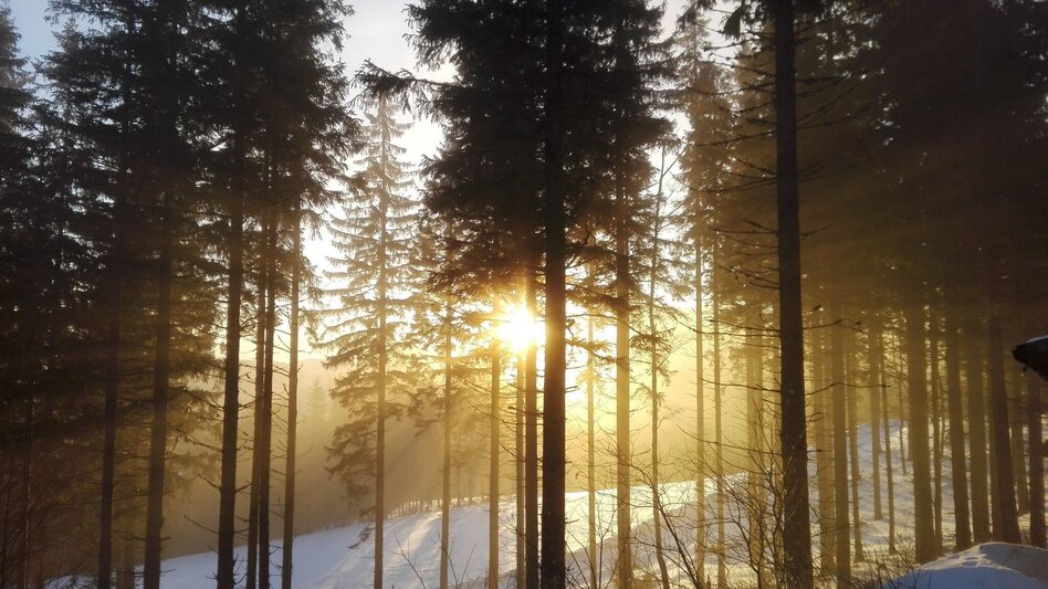 Schneeschuh Schneeschuhtour zum Grabnergupf - Touren-Impression #2.2 | © TV Hochsteiermark