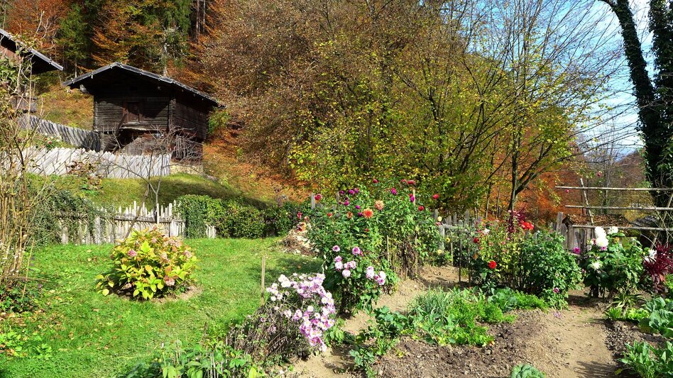 Hiking route Through the Open-Air Museum Stübing and round the Pfaffenkogel - Touren-Impression #2.7 | © Region Graz