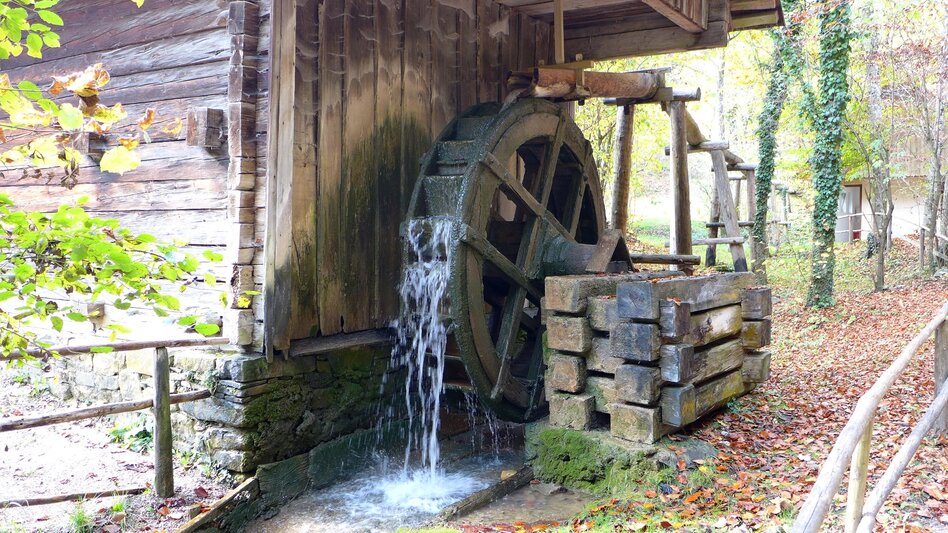 Hiking route Through the Open-Air Museum Stübing and round the Pfaffenkogel - Touren-Impression #2.8 | © Region Graz