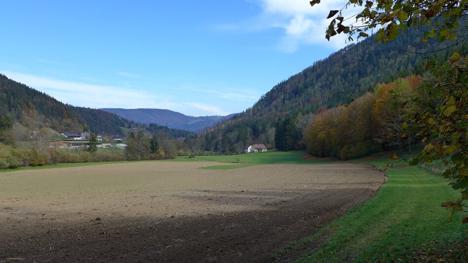 Hiking route Through the Open-Air Museum Stübing and round the Pfaffenkogel - Touren-Impression #2.12 | © Region Graz