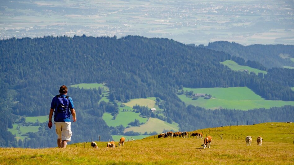 Wanderung Zirbitzkogel-Runde über Lindersee - Touren-Impression #2.12 | © Erlebnisregion Murtal