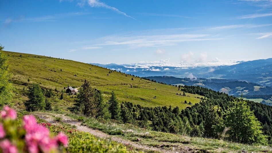 Wanderung Zirbitzkogel-Runde über Lindersee - Touren-Impression #2.13 | © Erlebnisregion Murtal