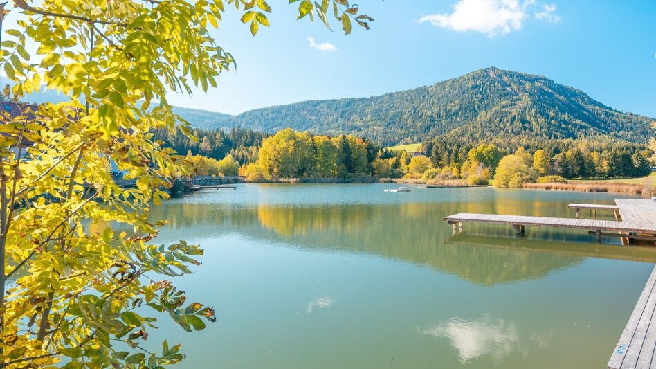 Mountain Biking 1x around the Kalkberg - Touren-Impression #2.4 | © Tourismusverband Murau